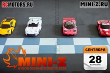 Кубок осеннего листа - соревнования Mini-Z - 1 этап